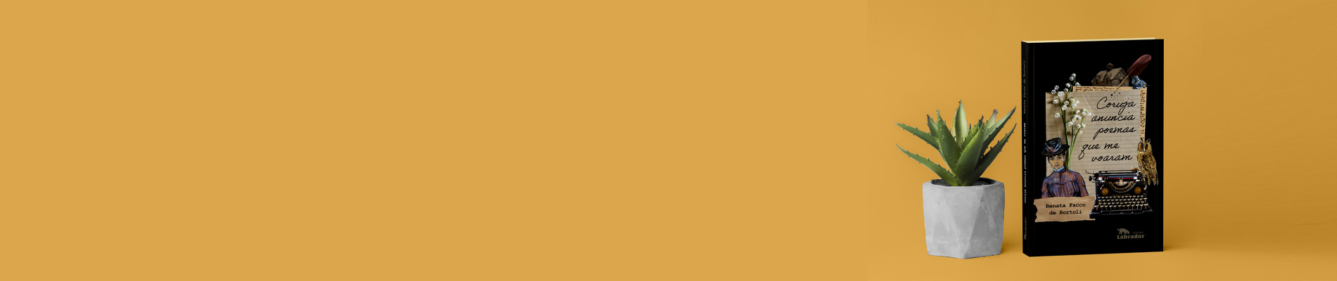 Banner da página Perguntas Frequentes