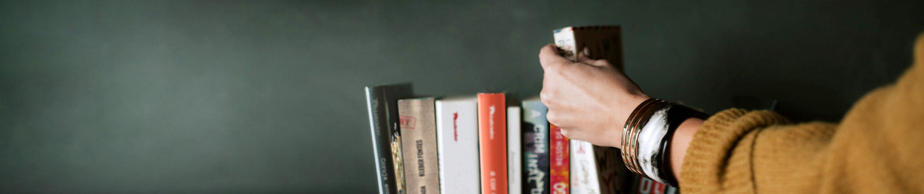 Banner da página Orçamento para Livro Infantil