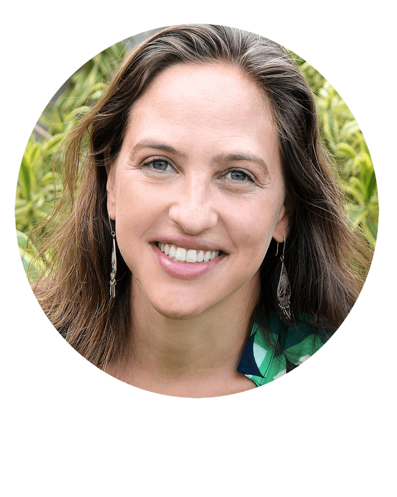 Autor Flávia Blikstein