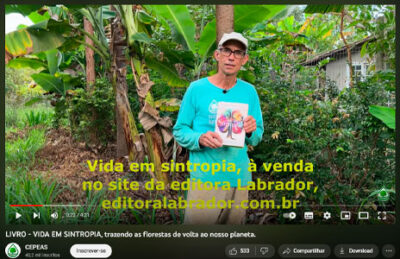 Print canal do youtube CEPEAS sobre o vídeo de Vida em SIntropia.