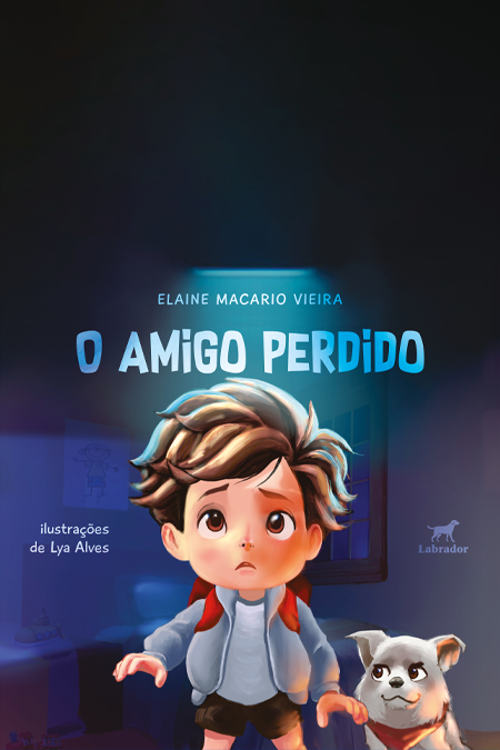 Capa do livro O amigo perdido