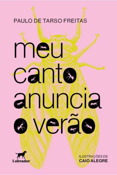 Capa do livro Meu canto anuncia o verão
