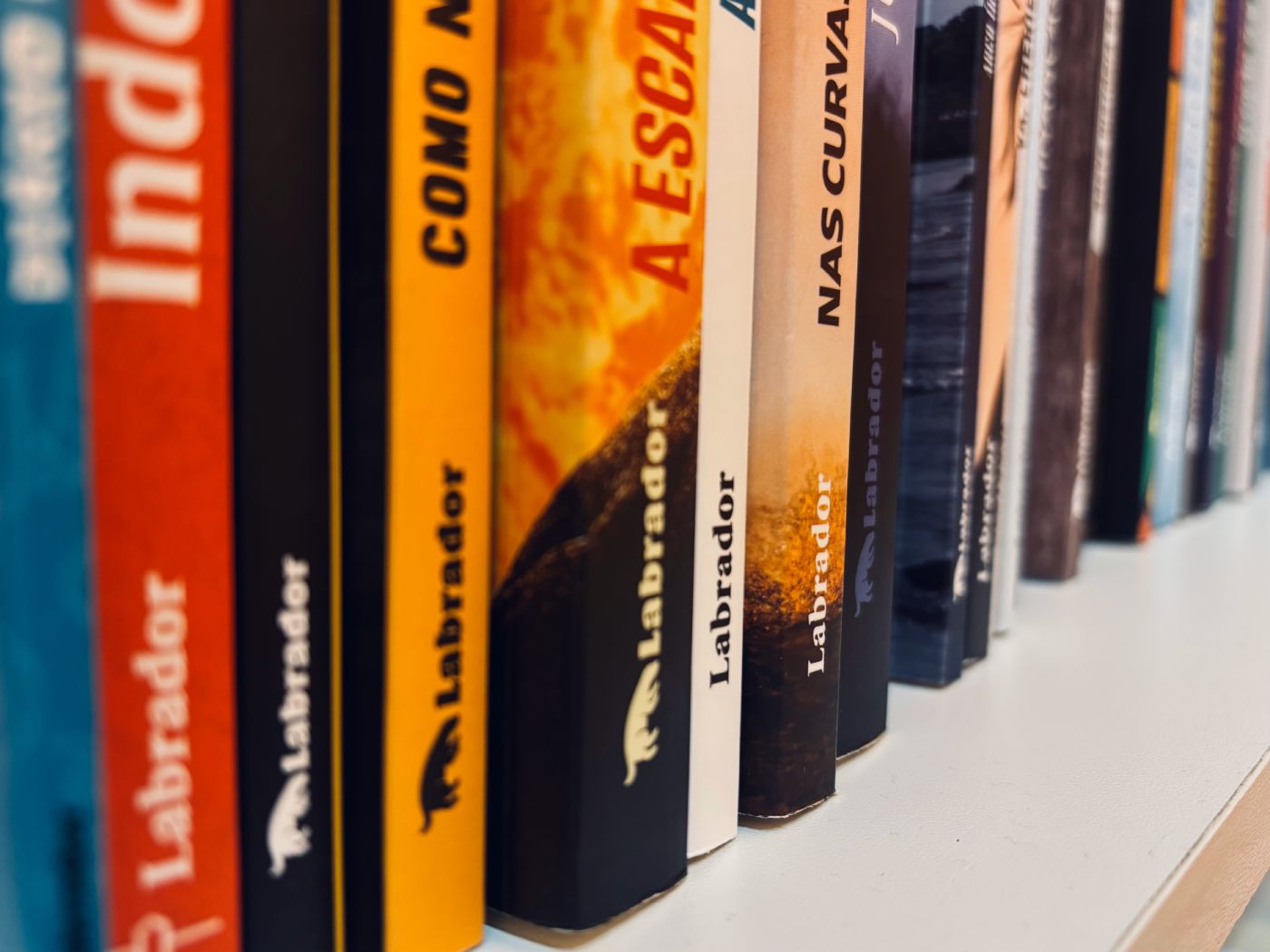 Pilha de livros lançados pela Editora Labrador