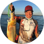 Foto do autor Mauricio Marques