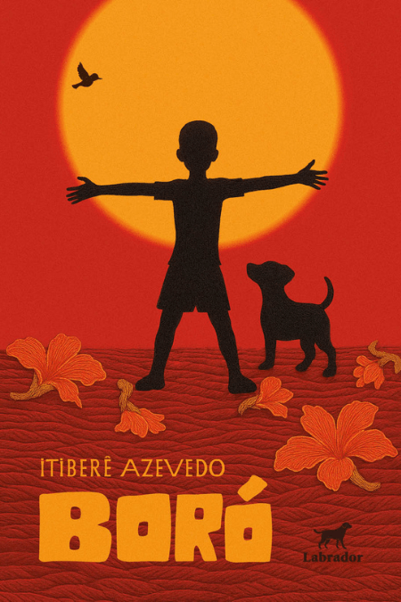 Imagem do livro Boró