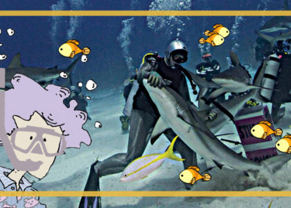 Post Novas Campanhas de Crowdfunding