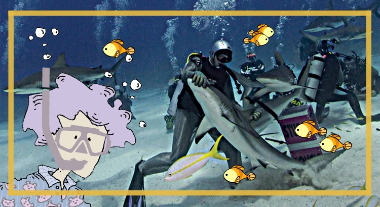 Imagem do post Novas Campanhas de Crowdfunding