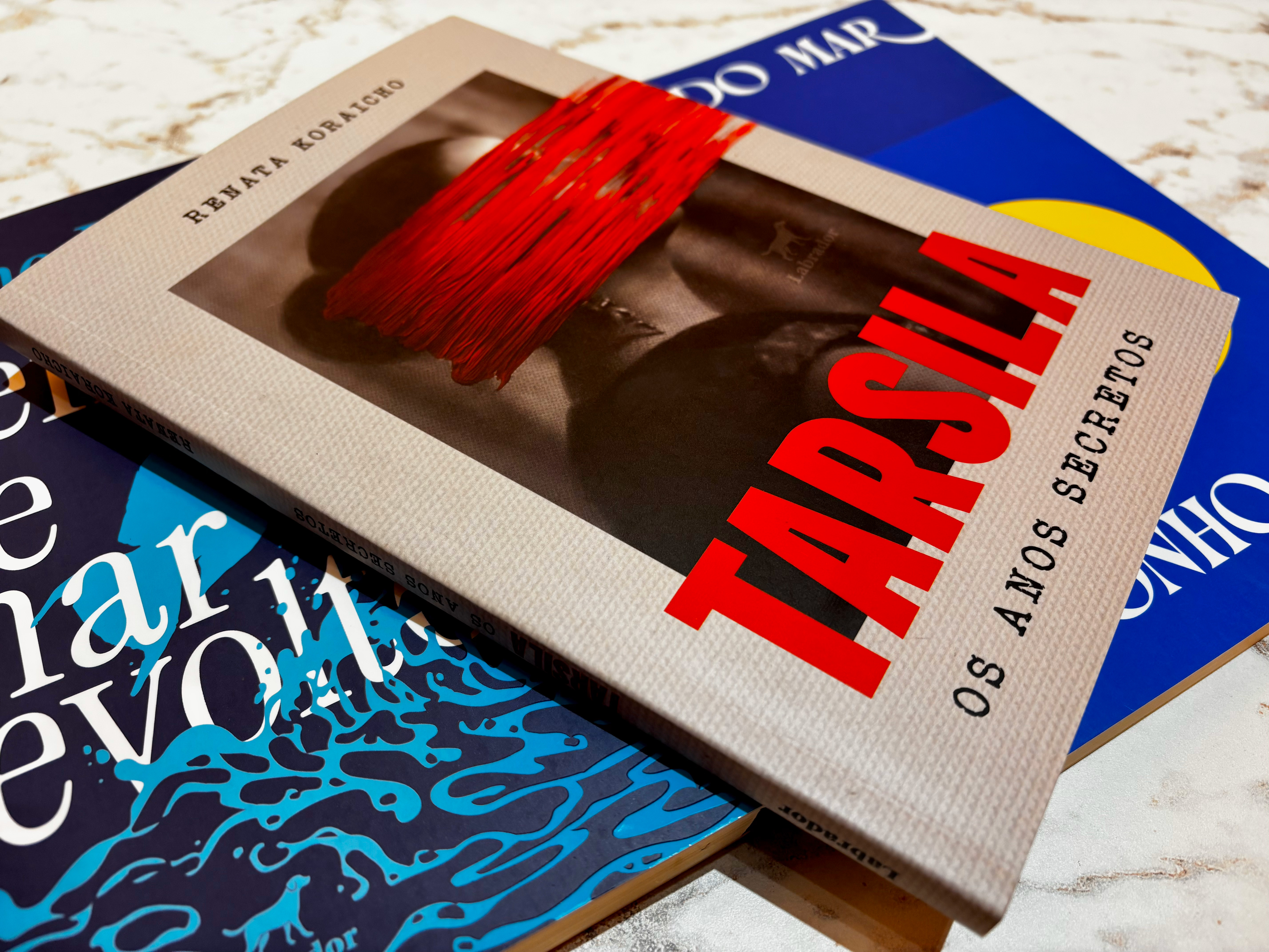 Imagem do post Confira 17 elementos que não podem faltar no seu livro e vão muito além da história