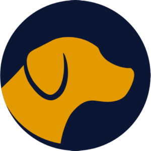 Ícone Editora Labrador