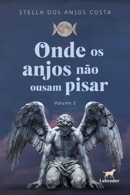 Capa do livro Onde os anjos não ousam pisar (volume 2)