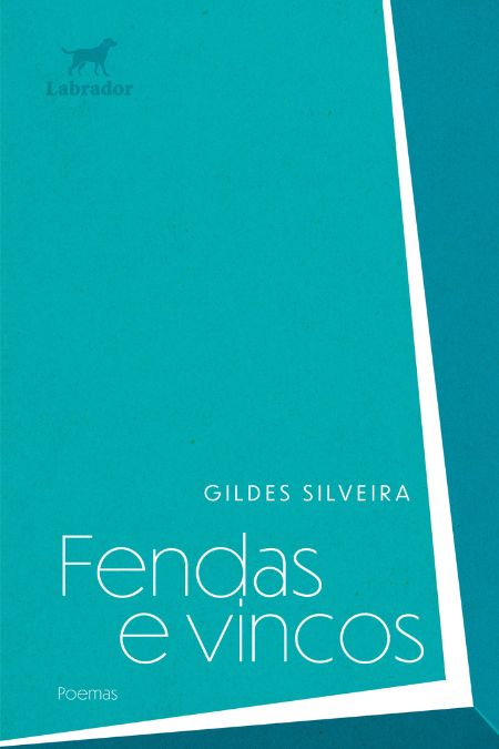 Capa do livro Fendas e vincos
