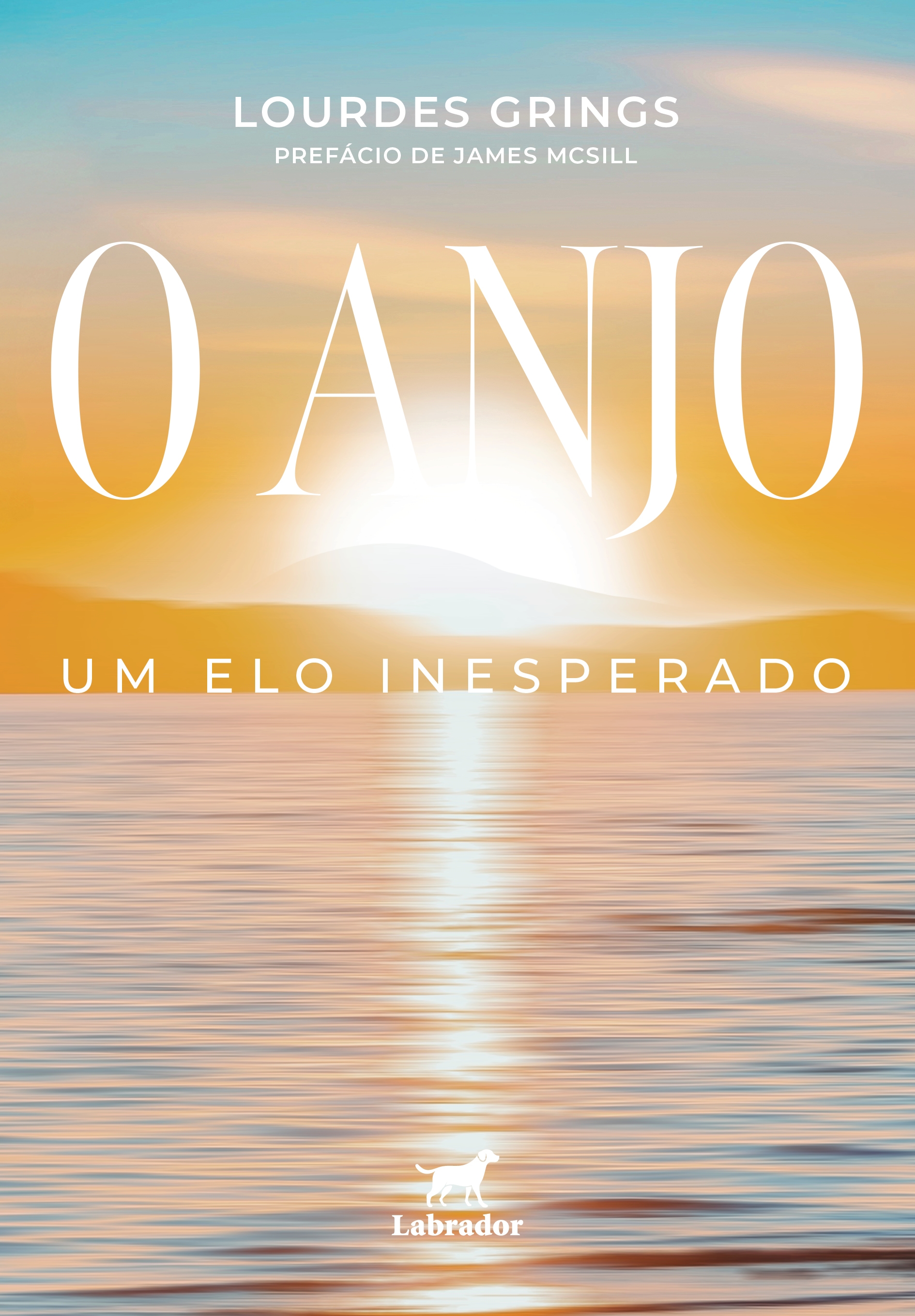 Imagem do livro O anjo