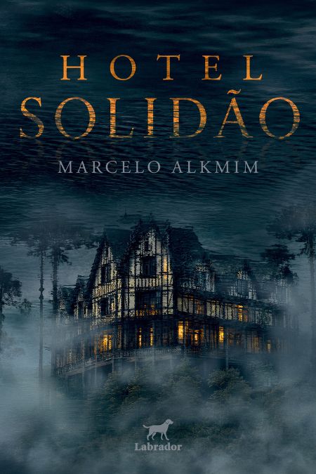 Imagem do livro Hotel Solidão